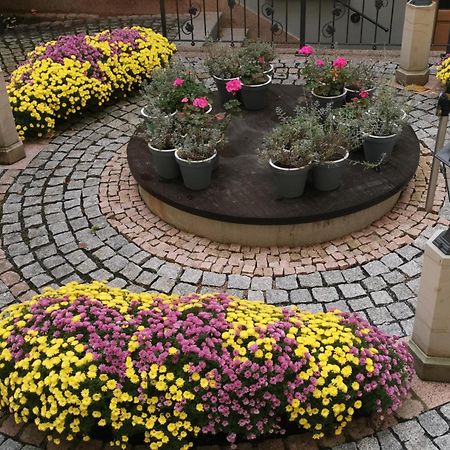 Altstadtidyll Meißen Dış mekan fotoğraf